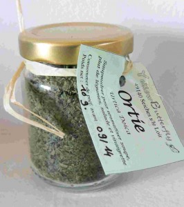 Ortie bio en phytothérapie